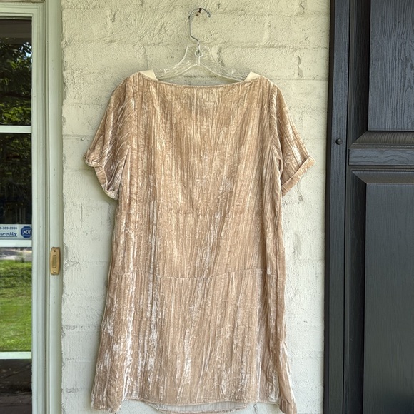 Anthropologie Floreat Champagne Crinkled Velvet Tunic Shift Dress Size XS - Picture 10 of 15
